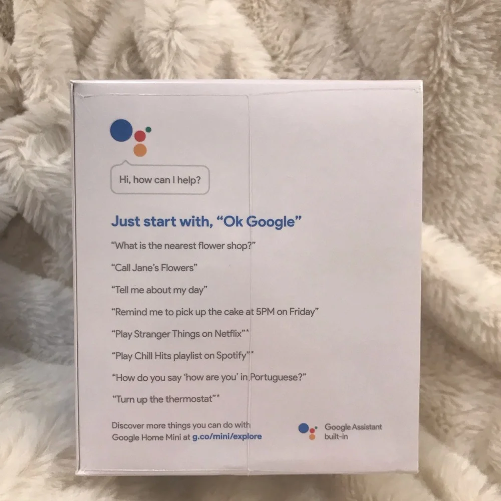 Google Home Mini Assistant
